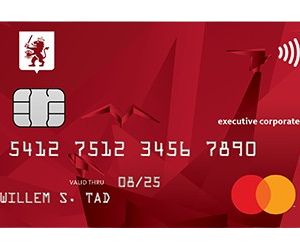 VISA 3000$